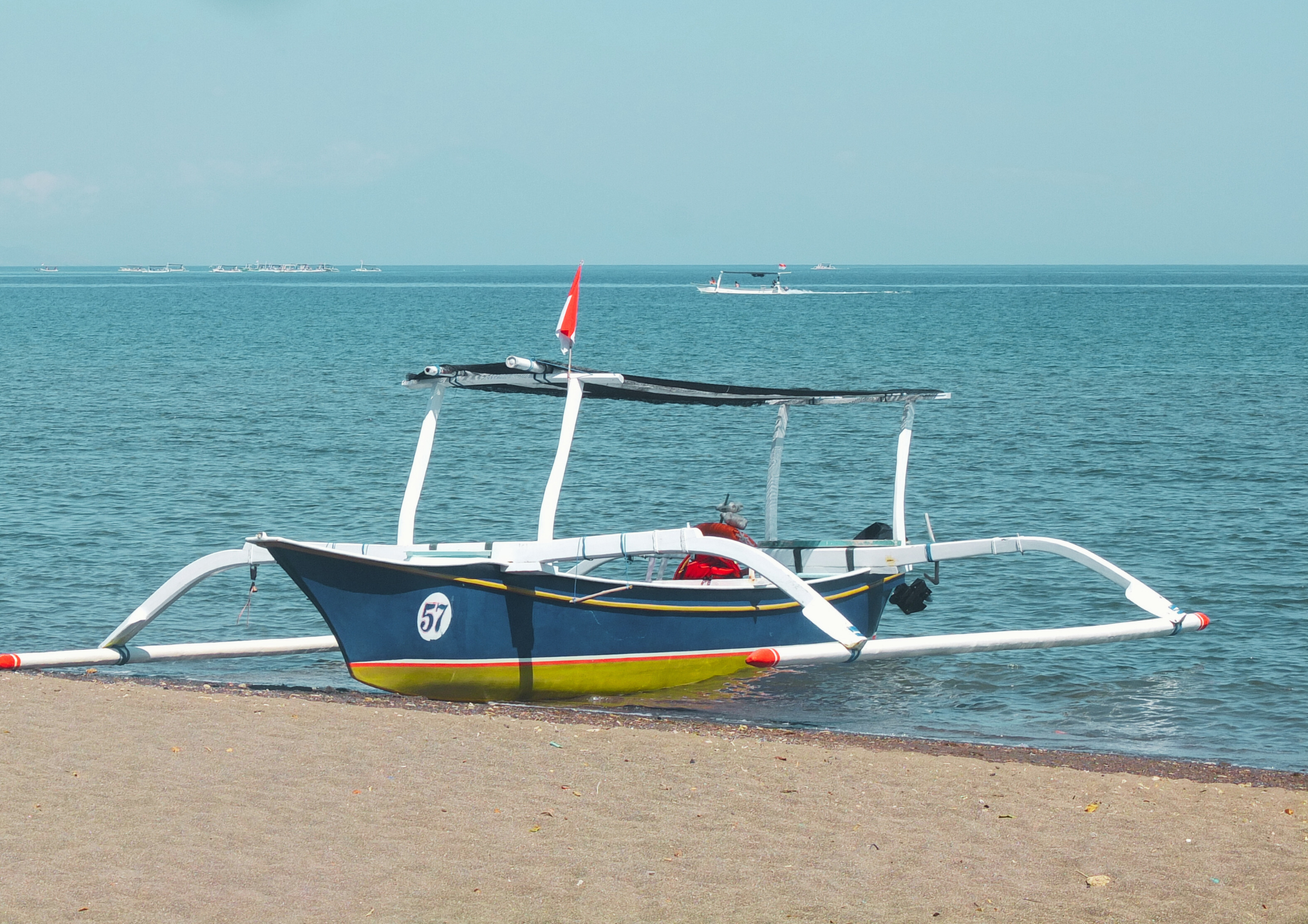 Dolphin tourism small boat