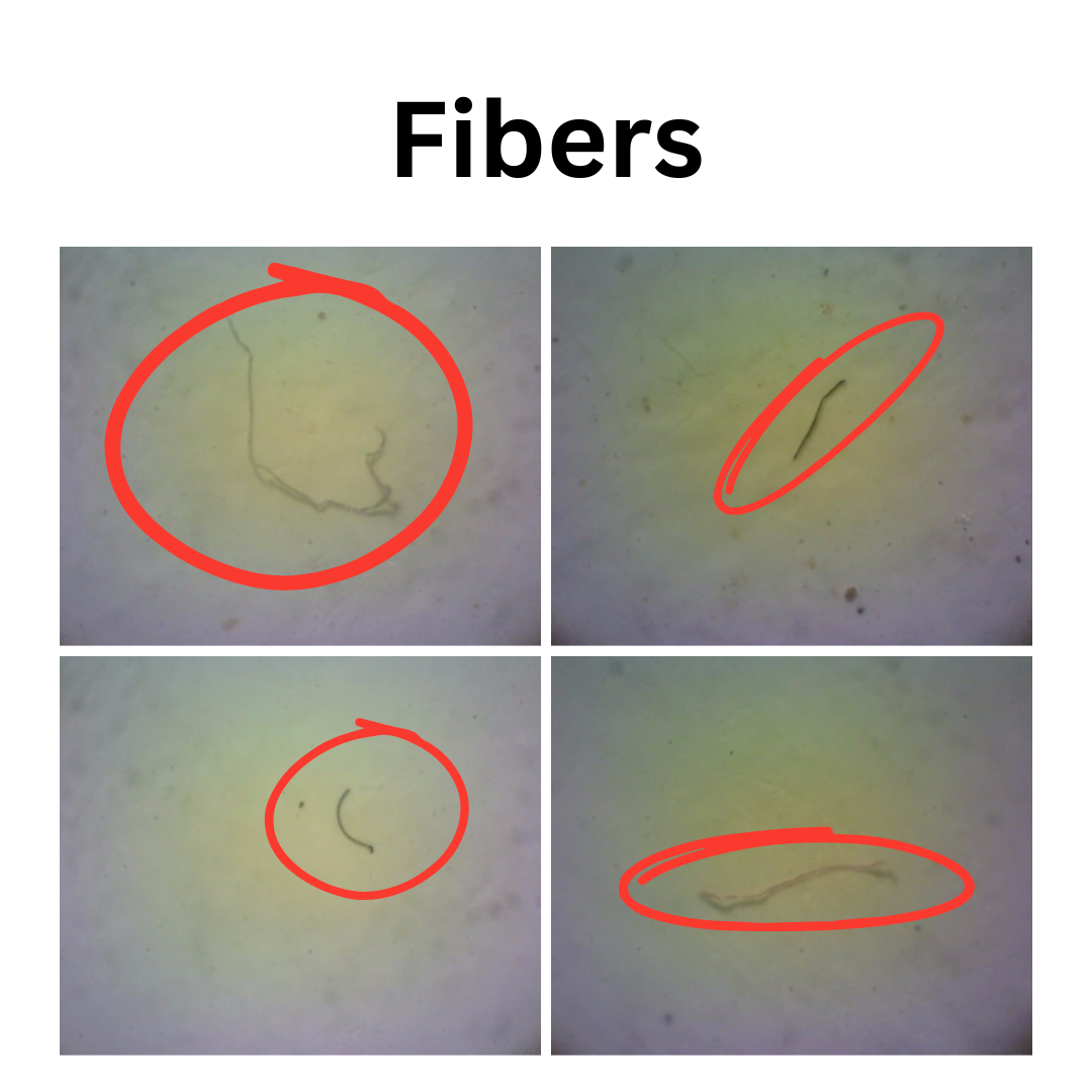 Microplastic - Fibers shape