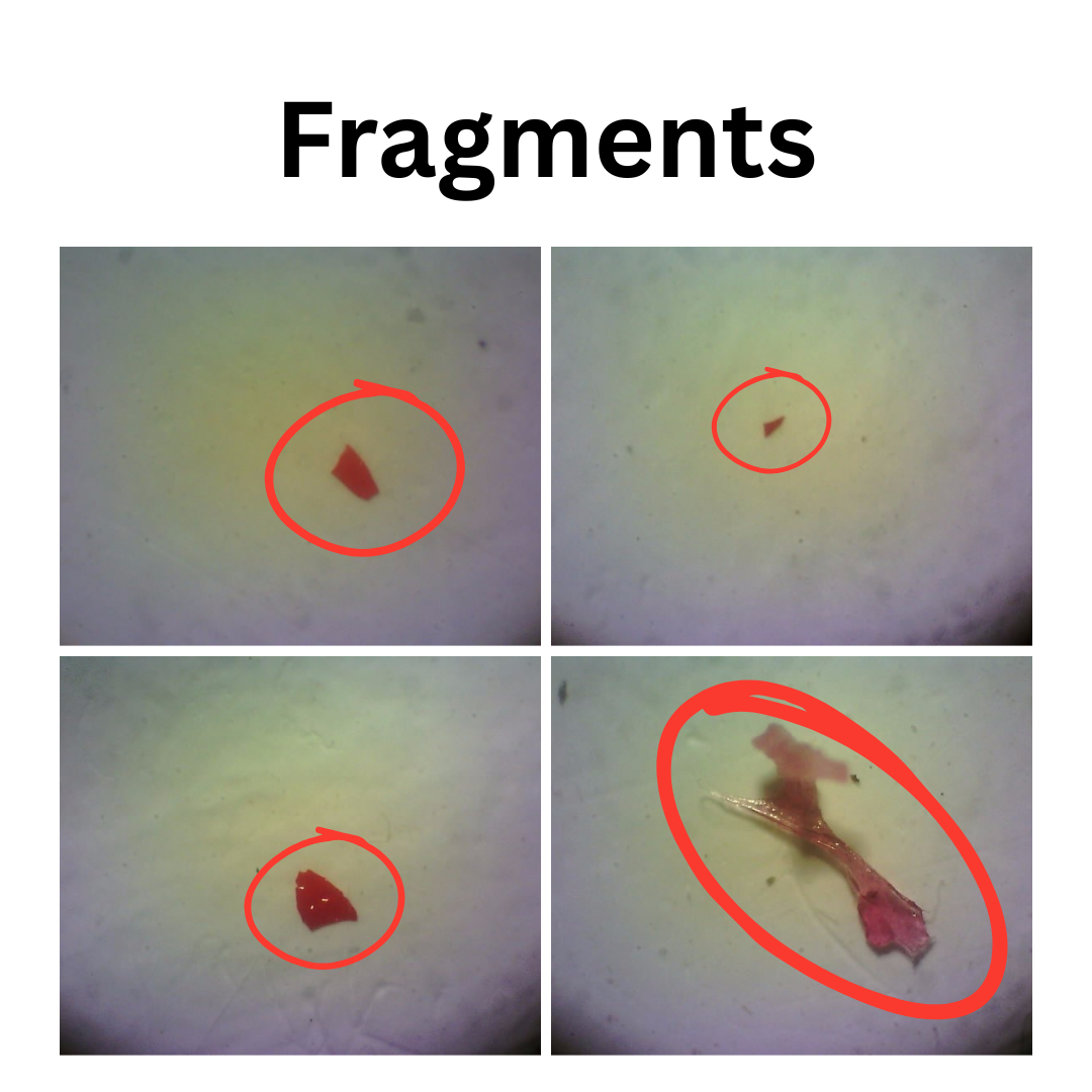 Microplastic - Fragments shape