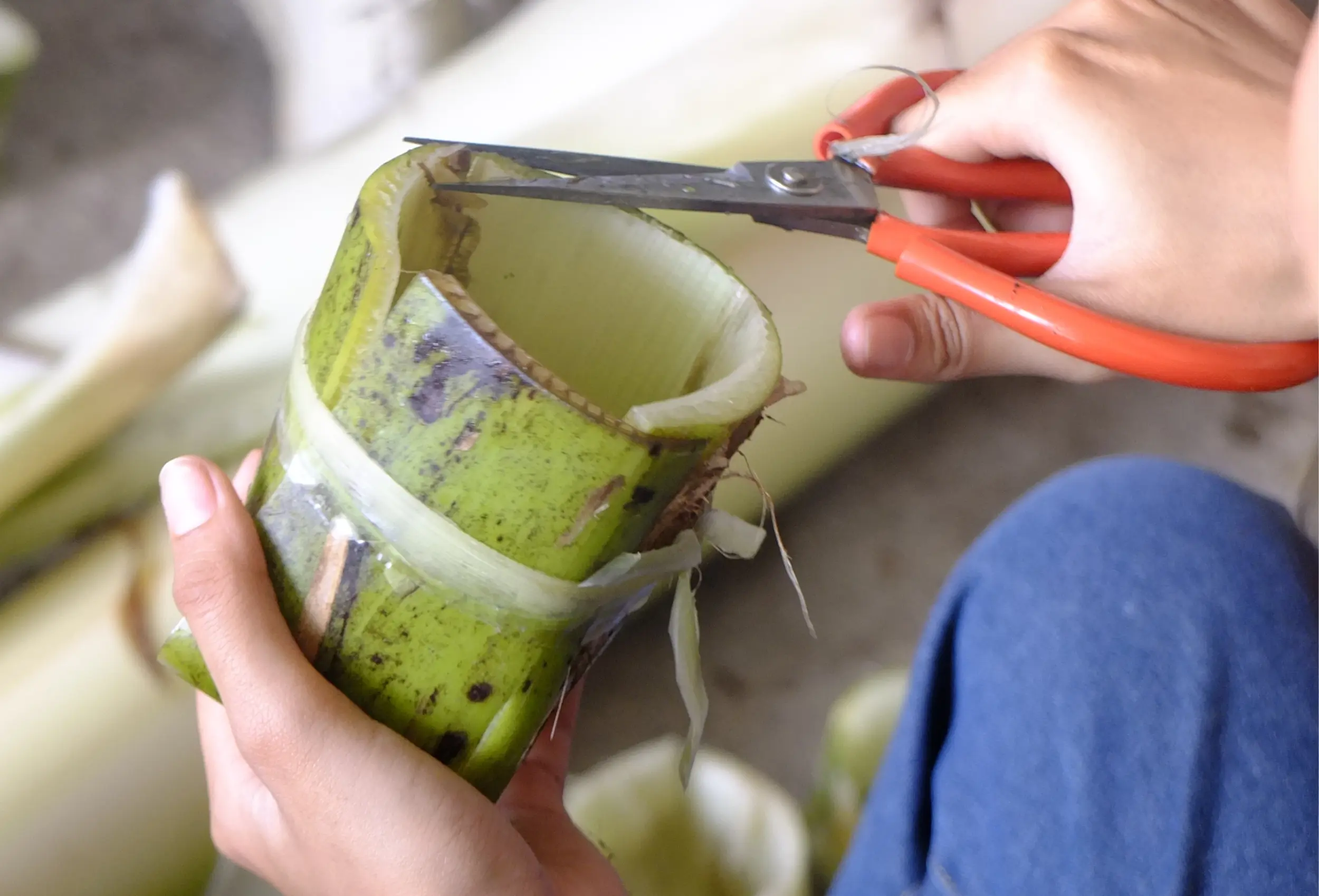 Natural Pot from Banana Stem