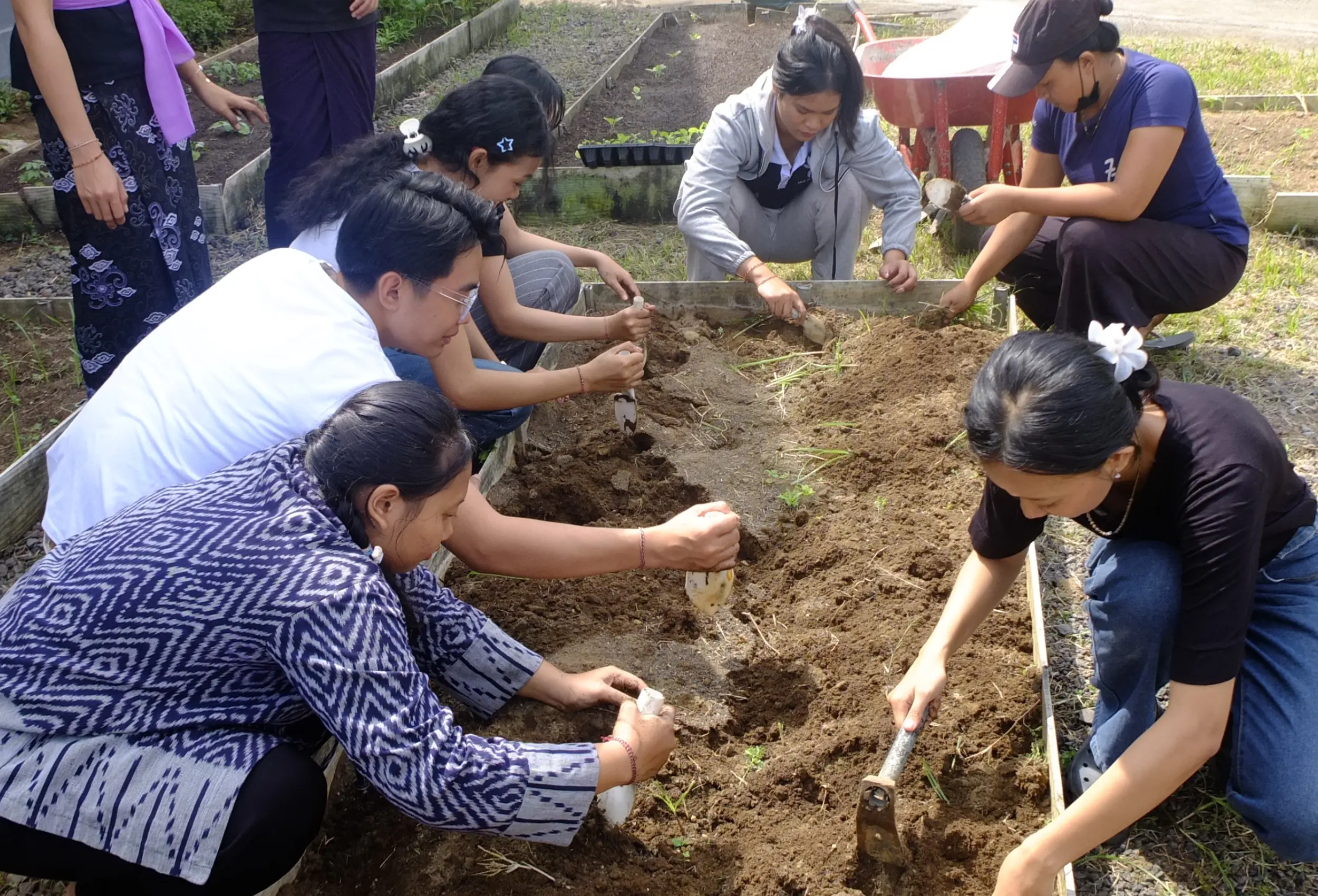 Preparing Bed for Seedling