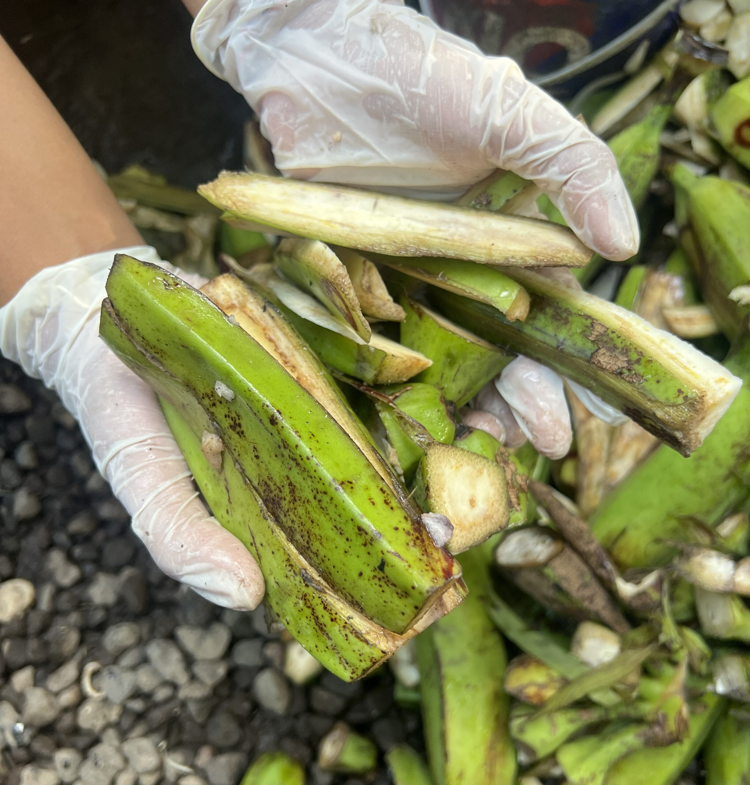 Banana peel waste in the micro and small business group at Kelurahan Paket Agung 
